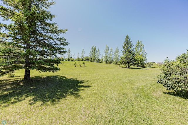 17123 Lakeview Ln, Audubon, MN 56511 - view of grassy yard