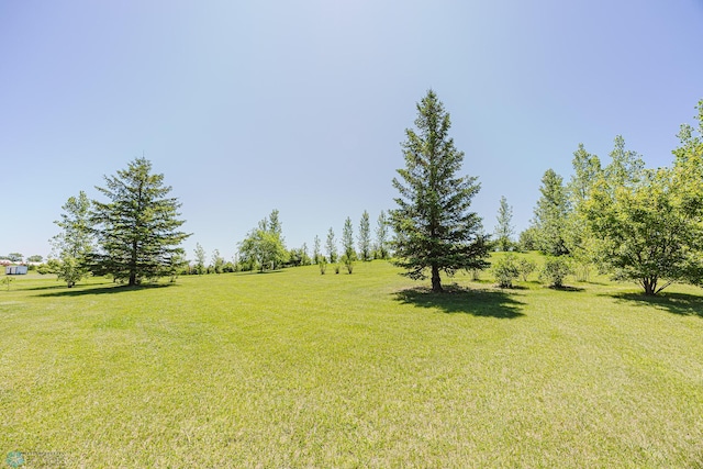 17123 Lakeview Ln, Audubon, MN 56511 - view of green lawn