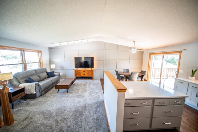 724 50th Ave NW, Rochester, MN 55901 - living area with lofted ceiling, a ceiling fan, a textured ceiling, and track lighting