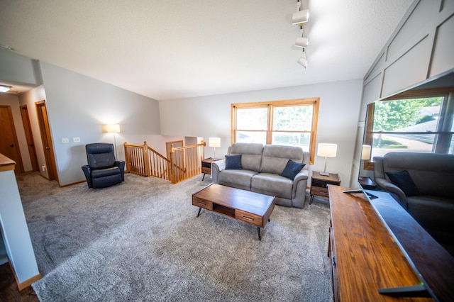 724 50th Ave NW, Rochester, MN 55901 - living area with carpet flooring and track lighting