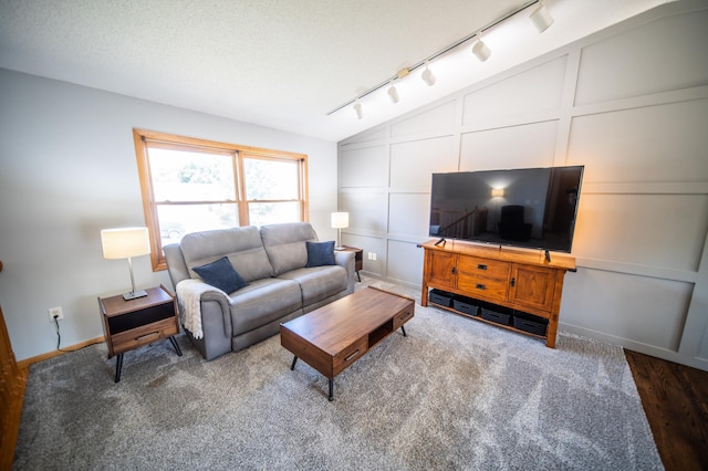 724 50th Ave NW, Rochester, MN 55901 - living room with rail lighting, lofted ceiling, and carpet