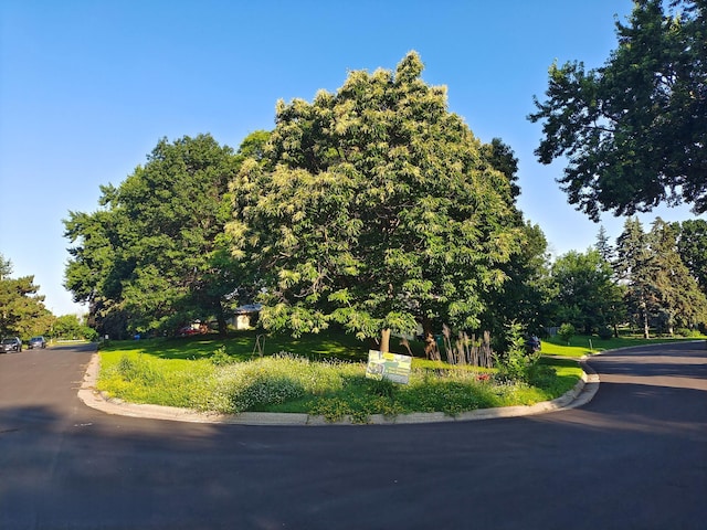 1535 Transit Ave, Roseville, MN 55113 - photo 40