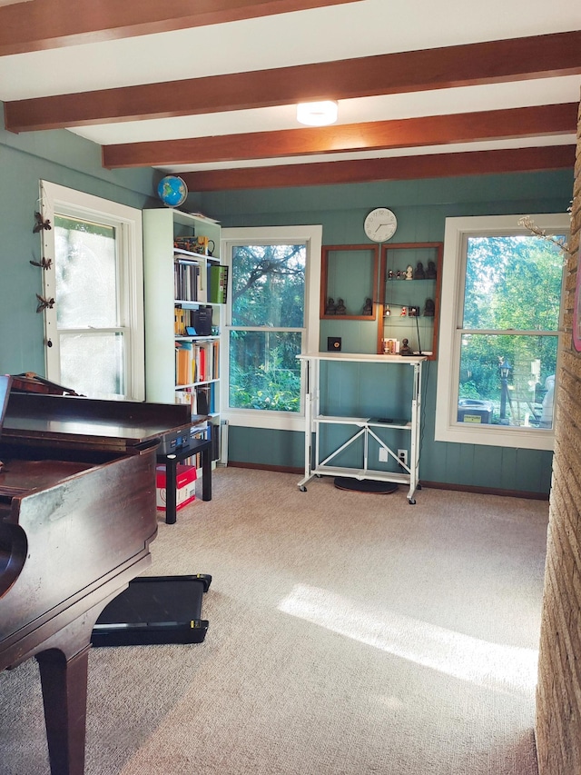 1535 Transit Ave, Roseville, MN 55113 - photo 9