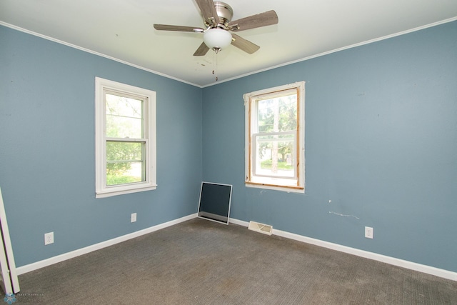 809 18th St N, Moorhead, MN 56560 - photo 13