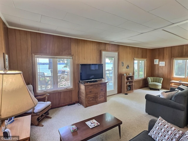 11436 Hoyer Ave NW, Annandale, MN 55302 - carpeted living room with healthy amount of natural light and wooden walls