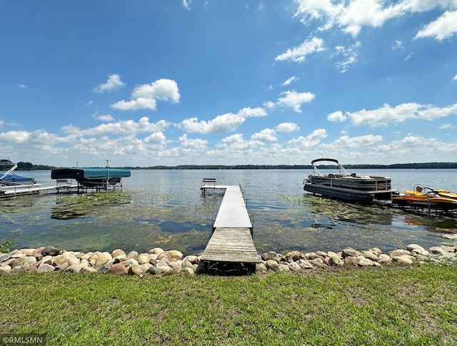 11436 Hoyer Ave NW, Annandale, MN 55302 - dock area with a water view