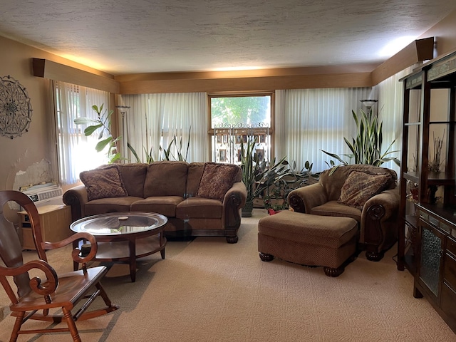806 Highland Rd, Windom, MN 56101 - living room with light colored carpet and a textured ceiling