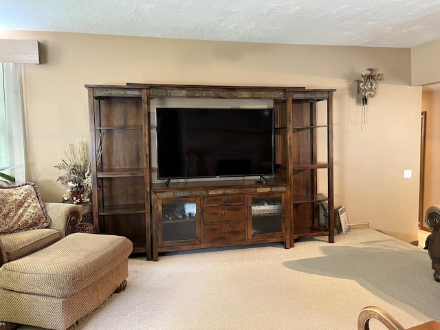806 Highland Rd, Windom, MN 56101 - living area featuring light colored carpet and a textured ceiling