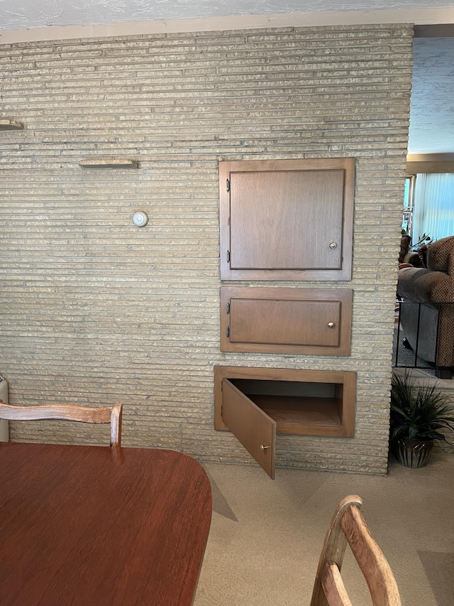 806 Highland Rd, Windom, MN 56101 - detailed view of carpet