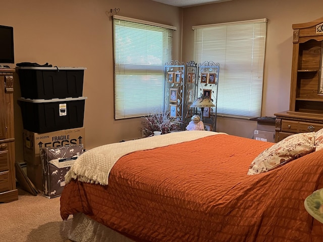 806 Highland Rd, Windom, MN 56101 - bedroom with carpet flooring