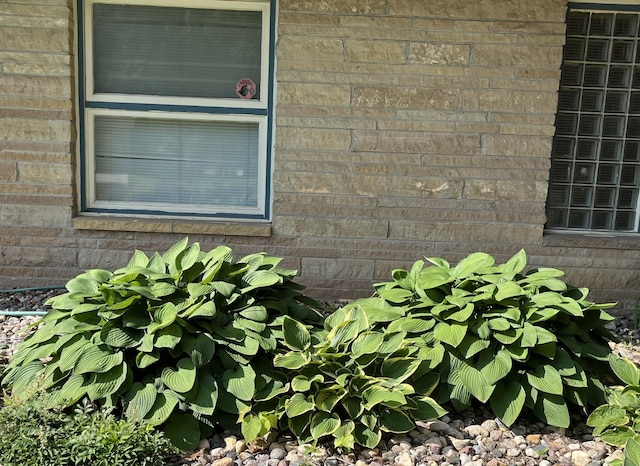 806 Highland Rd, Windom, MN 56101 - exterior view of brick siding