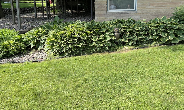 806 Highland Rd, Windom, MN 56101 - view of green lawn