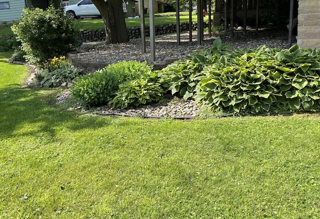 806 Highland Rd, Windom, MN 56101 - view of green lawn