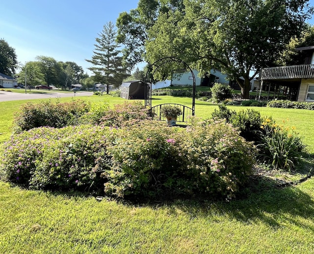 806 Highland Rd, Windom, MN 56101 - view of green lawn