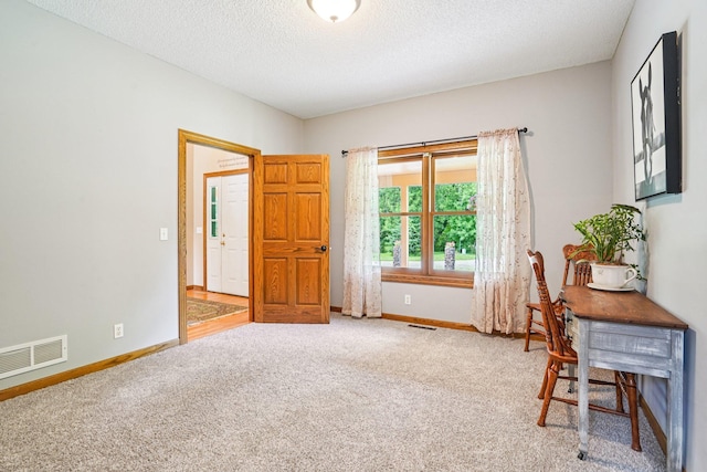 17855 305th St, Shafer, MN 55074 - photo 18