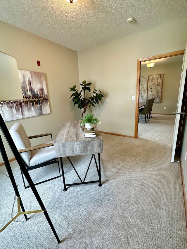2100 Old School Rd Unit 206, Mound, MN 55364 - carpeted office with baseboards and a textured ceiling