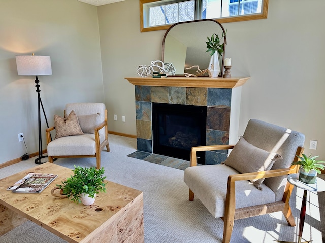 2100 Old School Rd Unit 206, Mound, MN 55364 - carpeted living area with baseboards and a tile fireplace