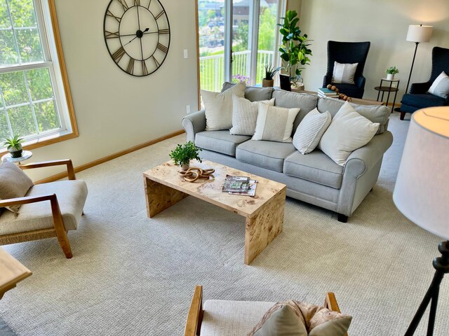 2100 Old School Rd Unit 206, Mound, MN 55364 - living room with carpet flooring and baseboards
