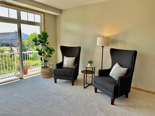 2100 Old School Rd Unit 206, Mound, MN 55364 - sitting room featuring carpet floors and healthy amount of natural light