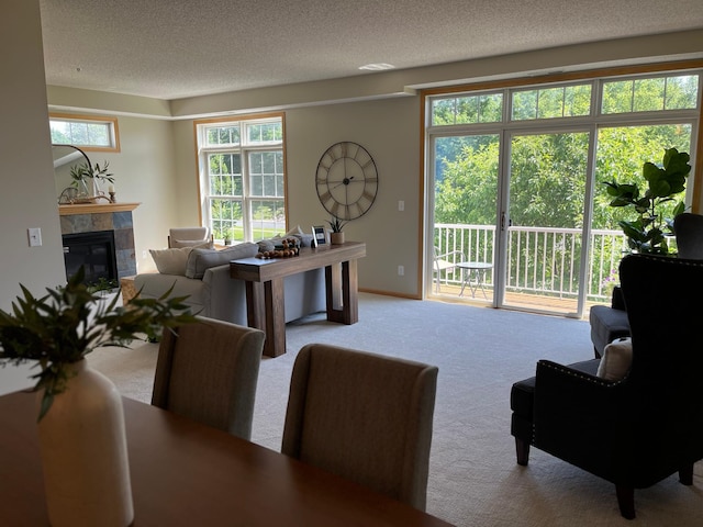 2100 Old School Rd Unit 206, Mound, MN 55364 - carpeted living area featuring a tile fireplace and a textured ceiling