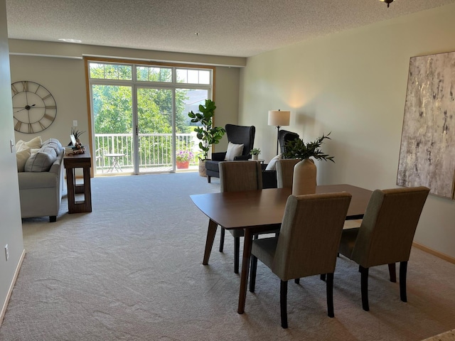 2100 Old School Rd Unit 206, Mound, MN 55364 - carpeted dining room featuring a textured ceiling