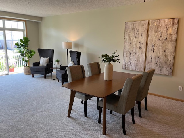 2100 Old School Rd Unit 206, Mound, MN 55364 - carpeted dining room featuring a textured ceiling
