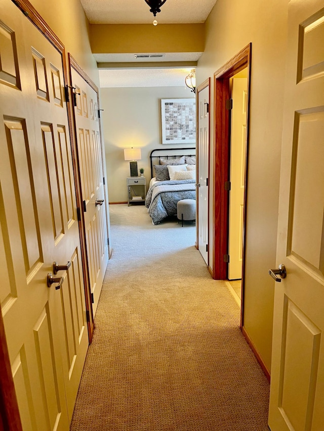 2100 Old School Rd Unit 206, Mound, MN 55364 - corridor with light carpet and baseboards