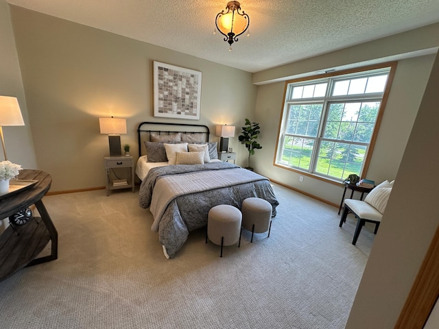 2100 Old School Rd Unit 206, Mound, MN 55364 - bedroom with light colored carpet and a textured ceiling