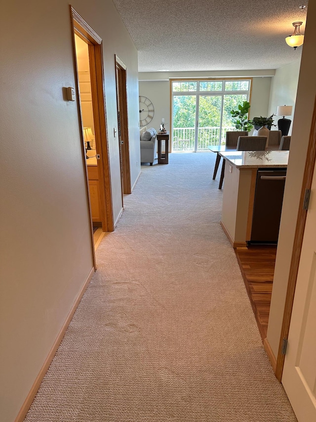 2100 Old School Rd Unit 206, Mound, MN 55364 - hallway featuring light carpet and a textured ceiling