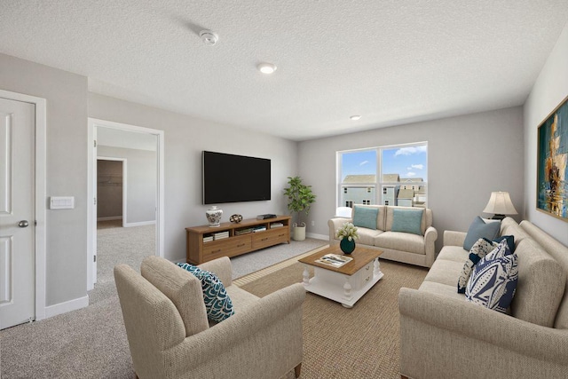 898 Laurel Ct, Chaska, MN 55318 - living area with carpet and a textured ceiling