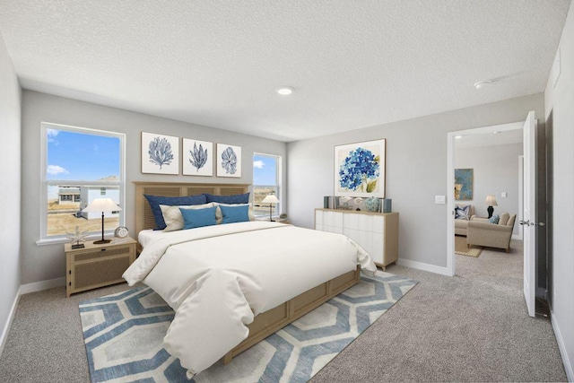 898 Laurel Ct, Chaska, MN 55318 - bedroom featuring a textured ceiling and carpet floors