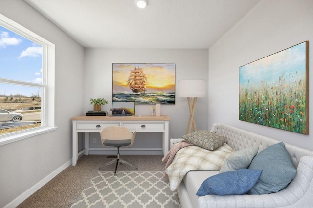 898 Laurel Ct, Chaska, MN 55318 - office featuring carpet and plenty of natural light