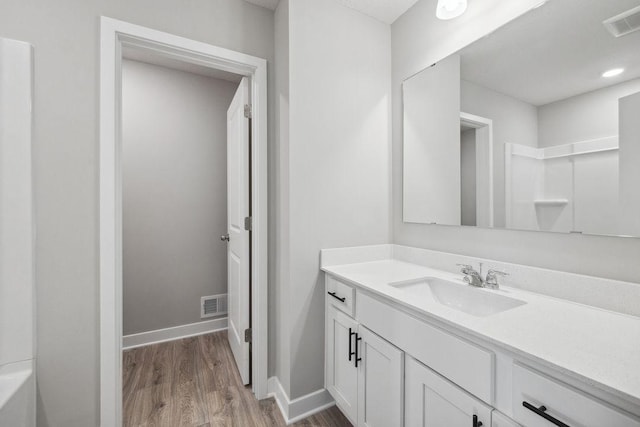 898 Laurel Ct, Chaska, MN 55318 - bathroom featuring vanity and wood finished floors