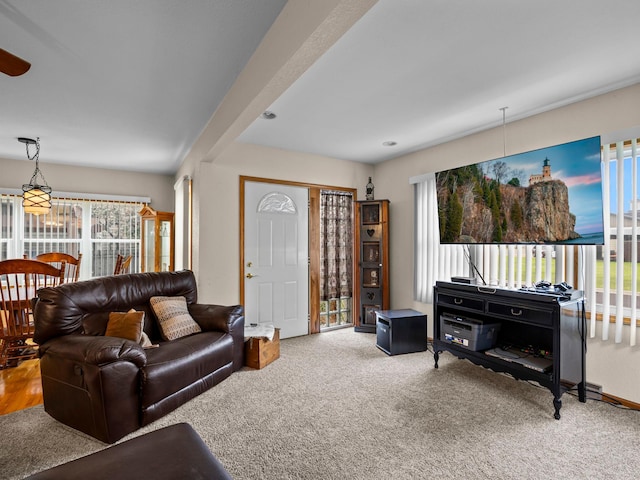 141 6th Ave N, Brownton, MN 55312 - photo 9