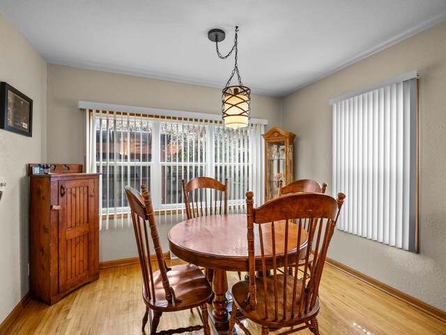 141 6th Ave N, Brownton, MN 55312 - photo 13