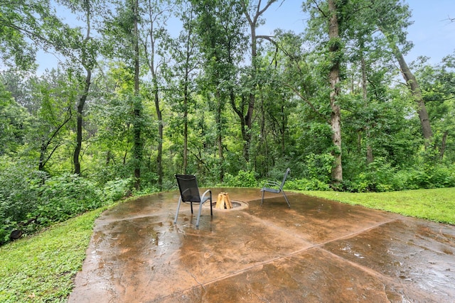1303 Birch Park Rd, Houlton, WI 54082 - photo 58