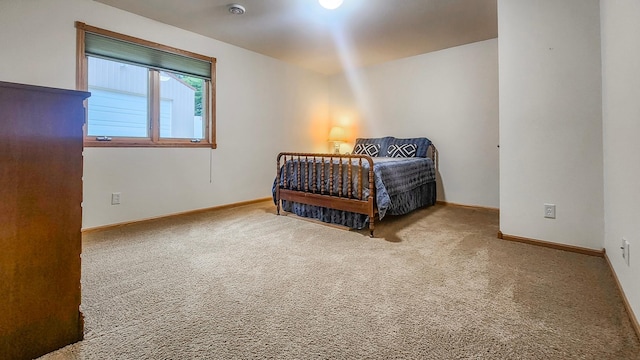 6210 County 38 NW, Shingobee Twp, MN 56484 - photo 23