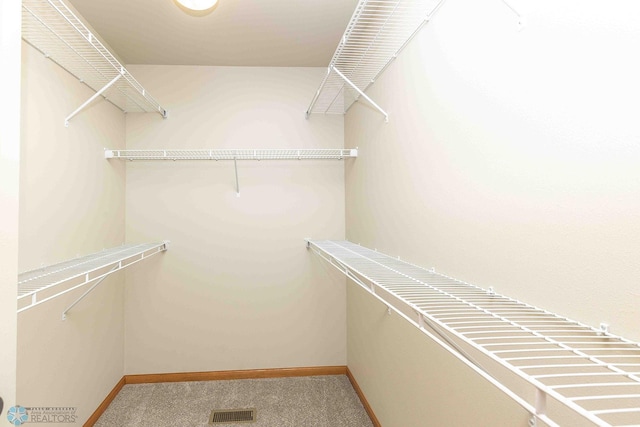 2054 12th St W, West Fargo, ND 58078 - spacious closet with carpet