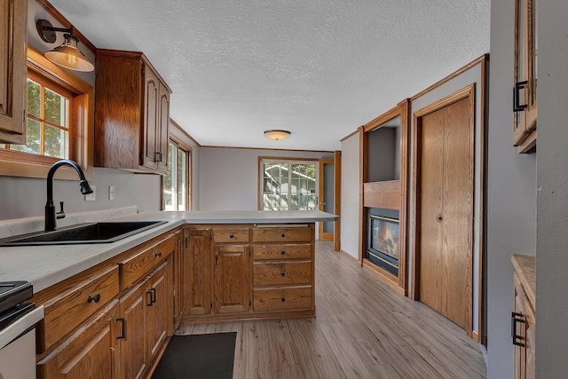9353 Ideal Rd, Watab Twp, MN 56367 - kitchen with light countertops, light wood-style floors, a peninsula, range, and a glass covered fireplace