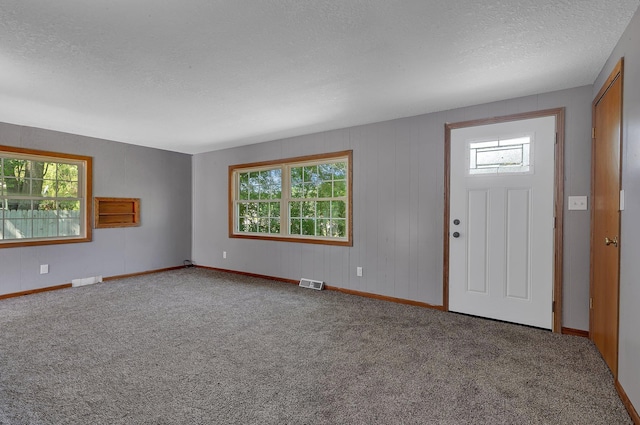 9353 Ideal Rd, Watab Twp, MN 56367 - carpeted foyer entrance featuring healthy amount of natural light and a textured ceiling