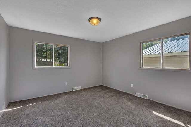 9353 Ideal Rd, Watab Twp, MN 56367 - carpeted empty room featuring plenty of natural light