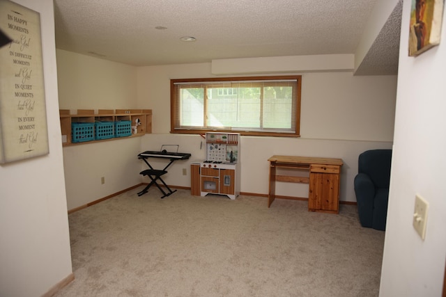 3930 99th Ave NE, Blaine, MN 55014 - miscellaneous room with carpet floors and a textured ceiling