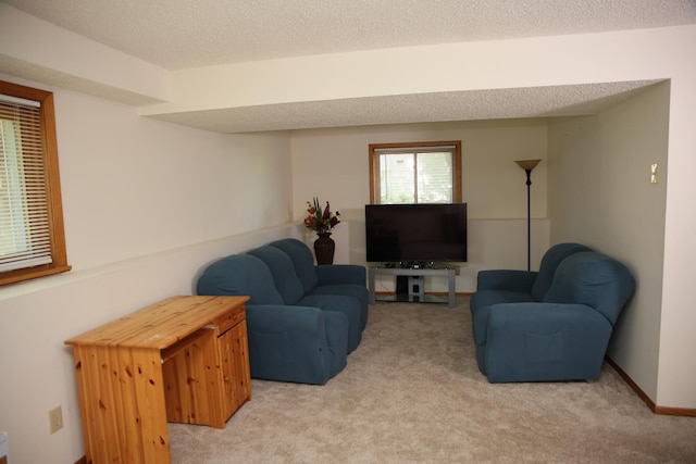 3930 99th Ave NE, Blaine, MN 55014 - living room with light carpet