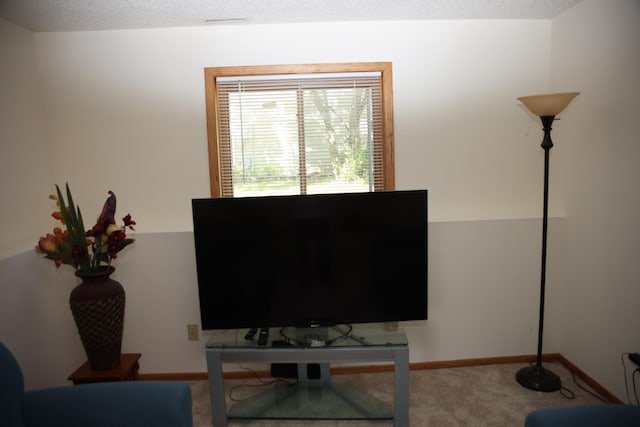 3930 99th Ave NE, Blaine, MN 55014 - carpeted home office with baseboards