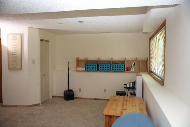 3930 99th Ave NE, Blaine, MN 55014 - sitting room with carpet flooring and baseboards