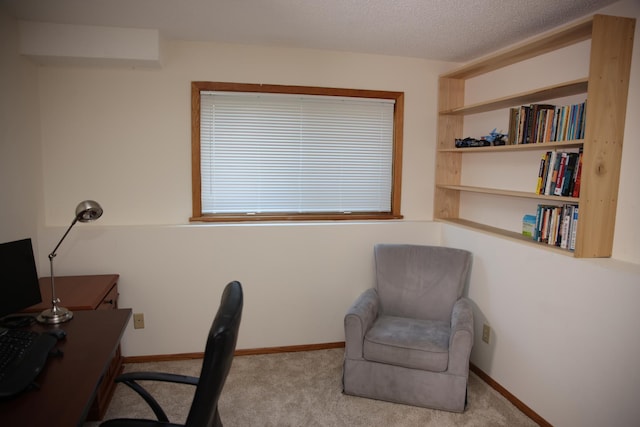 3930 99th Ave NE, Blaine, MN 55014 - carpeted office with baseboards