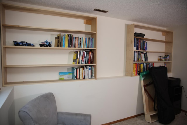 3930 99th Ave NE, Blaine, MN 55014 - carpeted office with a textured ceiling
