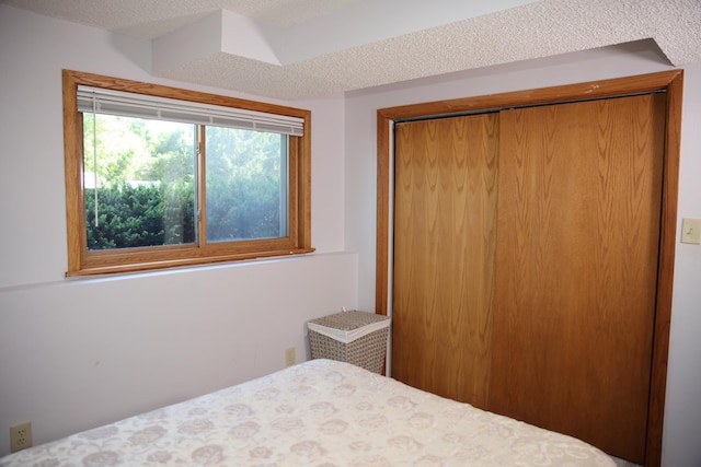 3930 99th Ave NE, Blaine, MN 55014 - bedroom featuring a closet