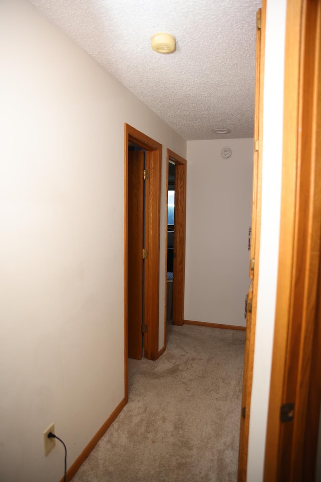 3930 99th Ave NE, Blaine, MN 55014 - corridor featuring a textured ceiling and carpet floors