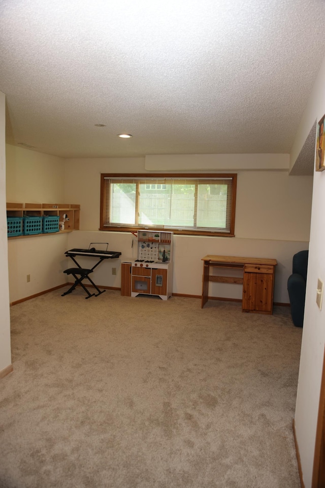 3930 99th Ave NE, Blaine, MN 55014 - interior space featuring a textured ceiling and carpet flooring